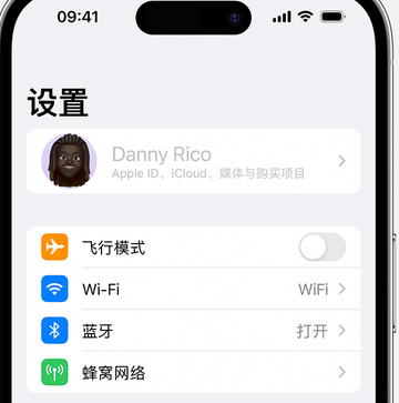 东宝appleID维修服务iPhone设置中Apple ID显示为灰色无法使用 