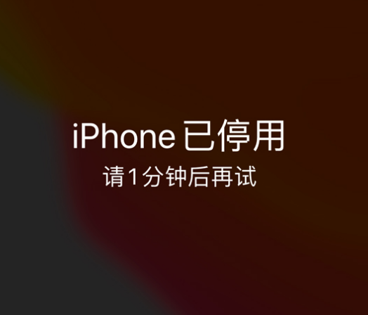 东宝苹果手机维修分享:iPhone 显示“不可用”或“已停用”怎么办？还能保留数据吗？ 