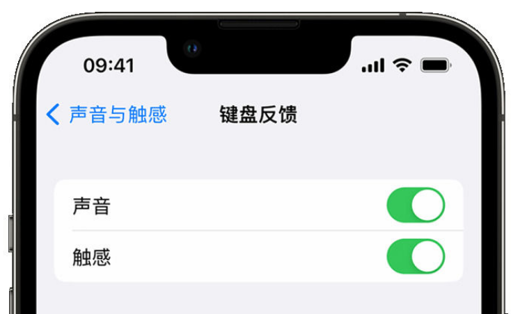 东宝苹果手机维修分享iPhone 14触感键盘使用方法 