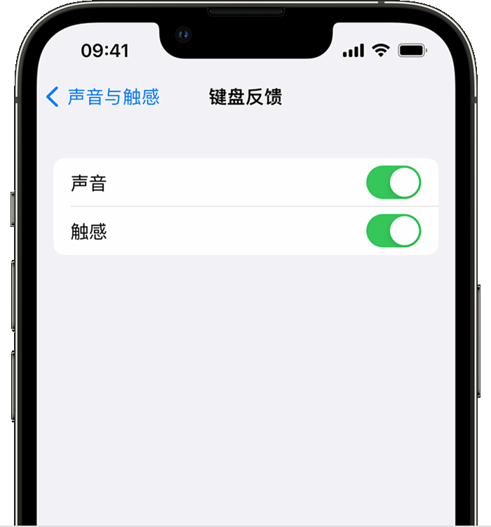 东宝苹果14维修店分享如何在 iPhone 14 机型中使用触感键盘 