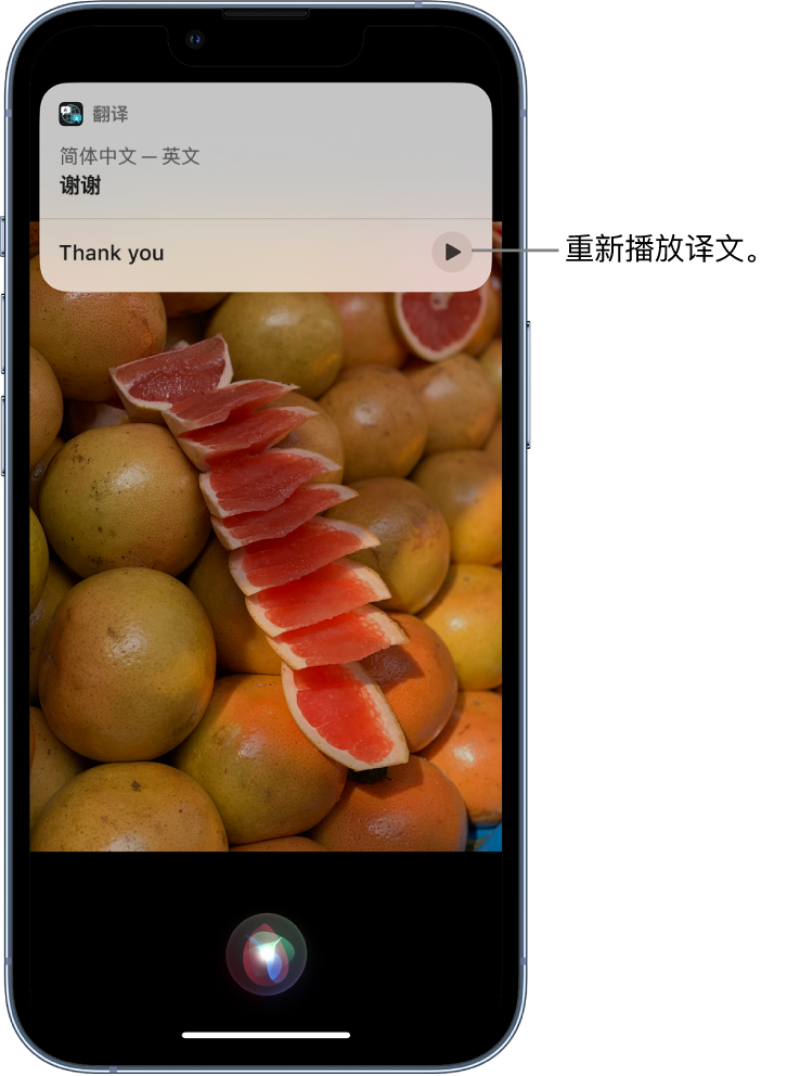 东宝苹果14维修分享 iPhone 14 机型中使用 Siri：了解 Siri 能帮你做什么 