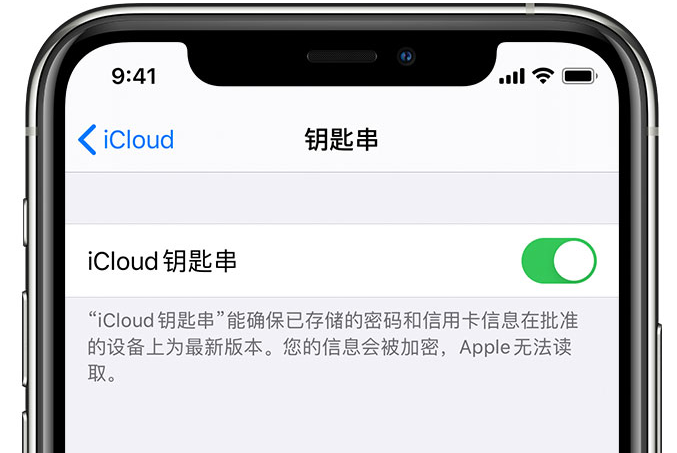 东宝苹果手机维修分享在 iPhone 上开启 iCloud 钥匙串之后会储存哪些信息 