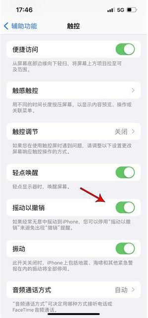 东宝苹果手机维修分享iPhone手机如何设置摇一摇删除文字 