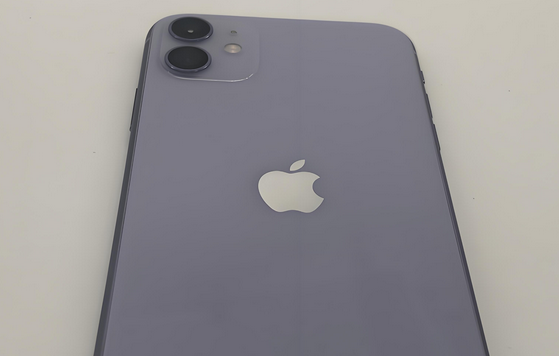 东宝苹果11系统维修分享iPhone11手机系统崩溃无法开机如何解决